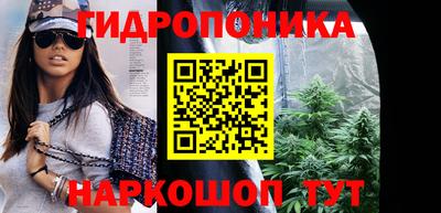 apvp Гай