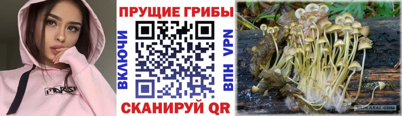 Псилоцибиновые грибы ЛСД  Гуково 