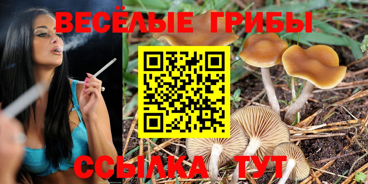 Гуково  Псилоцибиновые грибы Cubensis  Вход с VPN 